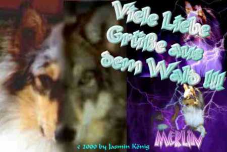 Merlin-Wolf
