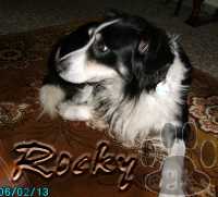 Rocky Feb.'06