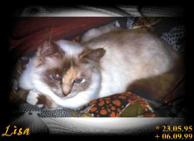 Donna-Daisy-Lisa