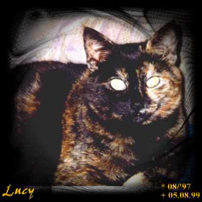 Lucybr